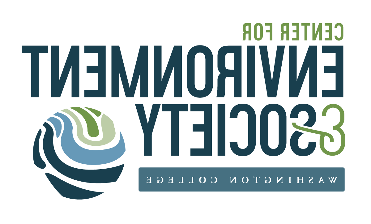 消费电子产品展 Logo
